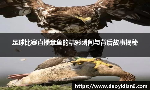 九游体育