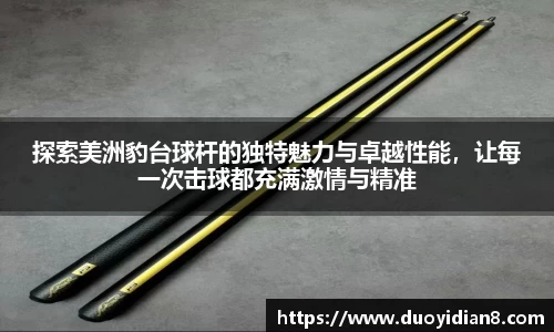 探索美洲豹台球杆的独特魅力与卓越性能，让每一次击球都充满激情与精准